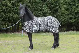 Pets Place Waldhausen Vliegendeken Zebra - Anti insect - 125 cm Zwart Wit 175 aanbieding