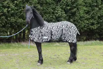 Pets Place Waldhausen Vliegendeken Zebra - Anti insect - 125 cm Zwart Wit 175 aanbieding