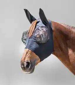 Pets Place Waldhausen Vliegenmasker Puck - Anti insect - Zwart Shet aanbieding