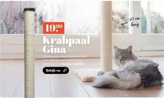Discus Krabpaal Gina aanbieding