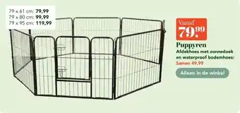 Discus Puppyren aanbieding