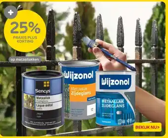 Praxis op metaallakken aanbieding