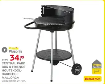 Praxis Central park bbq & friends houtskool barbecue mallorca aanbieding