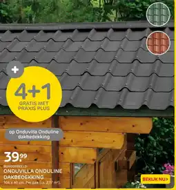 Praxis Onduvilla onduline dakbedekking aanbieding