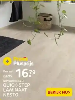 Praxis Quick step laminaat nesto aanbieding