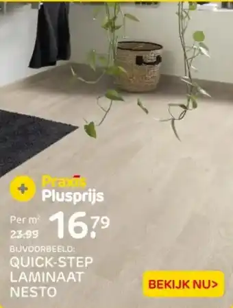Praxis Quick step laminaat nesto aanbieding