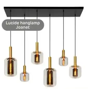 Praxis Lucide hanglamp Joanet aanbieding