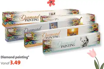 Bruna Diamond painting aanbieding