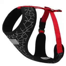 Zooplus Rukka Cube mini-tuig, Rood - Maat S: 30 - 44 cm Borstomvang aanbieding