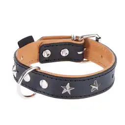Zooplus Maat 60: 45 - 55 cm halsomvang - Heim Leren Halsband Stars aanbieding
