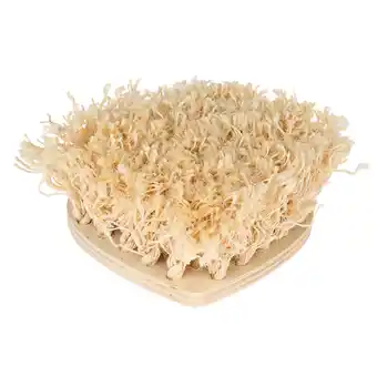 Zooplus TIAKI snuffelplank hart voor kleine dieren 30x30x10cm aanbieding