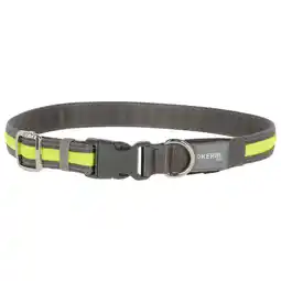 Zooplus Kerbl Pet Light & Reflex lichtgevende lijn 120cm lang, 25mm breed hond aanbieding