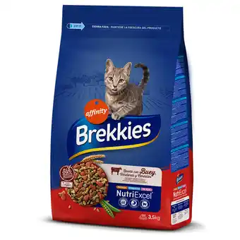 Zooplus Brekkies Rund Kattenvoer - 3,5 kg aanbieding