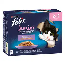 Zooplus 12x100g Elke Dag Feest Junior Mix in Gelei Mix selectie Felix Kattenvoer aanbieding