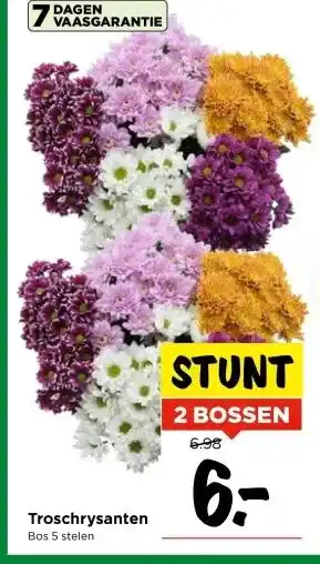 Vomar Voordeelmarkt Troschrysanten aanbieding