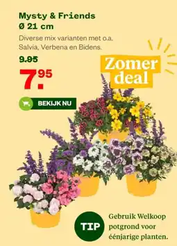 Welkoop Mysty & Friends aanbieding