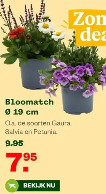 Welkoop Bloomatch aanbieding