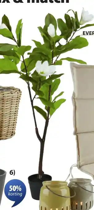Jysk SPINDEL kunstplant aanbieding