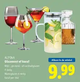 Lidl ALPINA Glazenset of karaf aanbieding