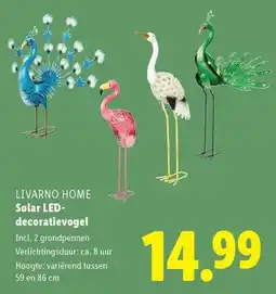 Lidl LIVARNO HOME Solar LED decoratievogel aanbieding