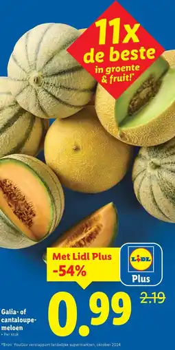 Lidl Galia of cantaloupe meloen aanbieding