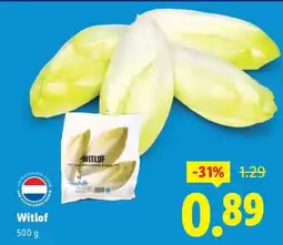Lidl Witlof aanbieding