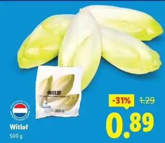 Lidl Witlof aanbieding