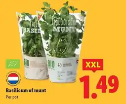 Lidl Basilicum of munt aanbieding