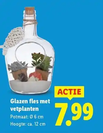 Lidl Glazen fles met vetplanten aanbieding