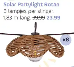 Coppelmans Solar Partylight Rotan aanbieding