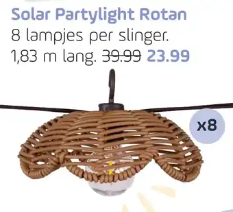 Coppelmans Solar Partylight Rotan aanbieding