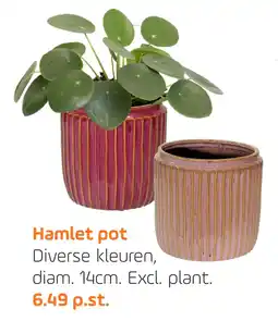 Coppelmans Hamlet pot aanbieding