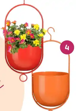 Coppelmans 4. Hangende bloempot aanbieding
