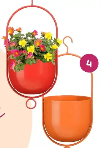 Coppelmans 4. Hangende bloempot aanbieding