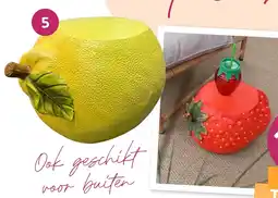 Coppelmans 5. Krukje citroen of aardbei aanbieding
