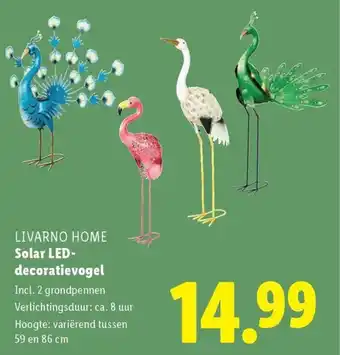 Lidl Solar LED decoratievogel aanbieding
