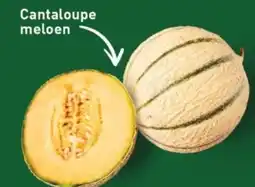 ALDI Cantaloupe meloen aanbieding