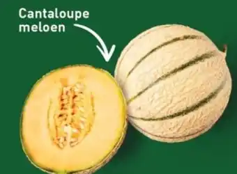 ALDI Cantaloupe meloen aanbieding