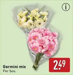 ALDI Germini mix aanbieding