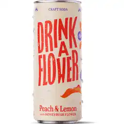 Albert Heijn Drink a Flower Peach & lemon aanbieding