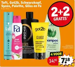 Kruidvat Taft, Got2b, Schwarzkopf, Syoss, Palette, Gliss en Fa aanbieding
