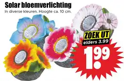 Dirk Solar bloemverlichting aanbieding
