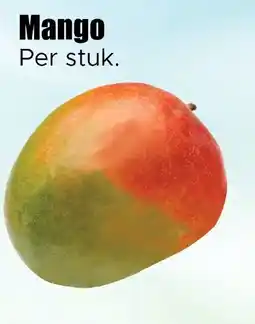 Dirk Mango aanbieding