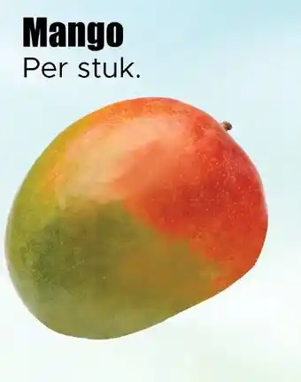 Dirk Mango aanbieding
