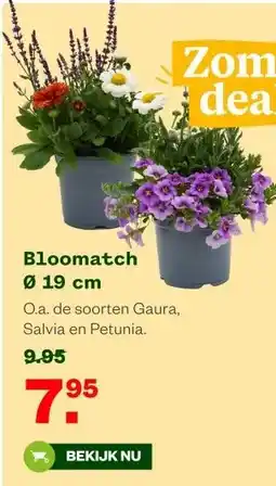 Welkoop Bloomatch Ø 19 cm aanbieding