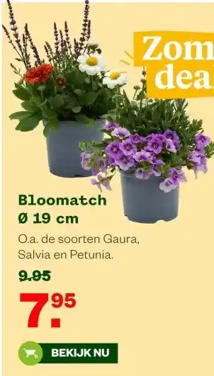 Welkoop Bloomatch Ø 19 cm aanbieding