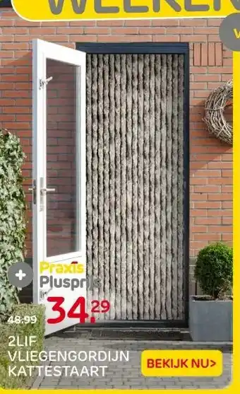 Praxis 2LIF VLIEGENGORDIJN KATTESTAART aanbieding