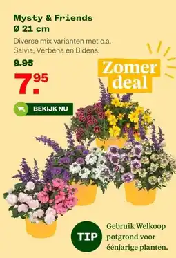 Welkoop Mysty & Friends Ø 21 cm aanbieding