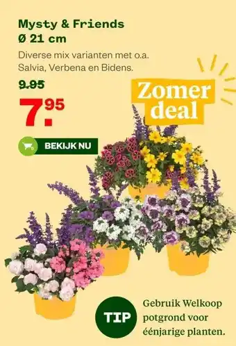 Welkoop Mysty & Friends Ø 21 cm aanbieding