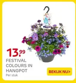 Praxis FESTIVAL COLOURS IN HANGPOT aanbieding